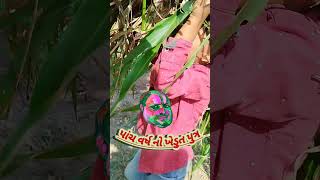 FiveYearOld Farmer The Future of Agricultureપાંચ વર્ષ નો ખેડુત પુત્ર [upl. by Yaned]