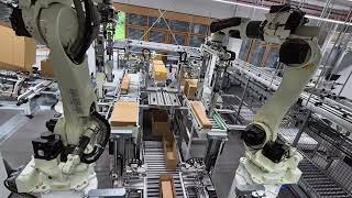 The Future of RightSized Packaging with Packaging Robots [upl. by Karlen]