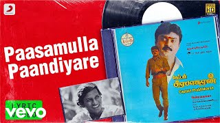 Captain Prabhakaran  Paasamulla Paandiyare Lyric  Vijaykanth  Ilayaraaja [upl. by Demahum654]