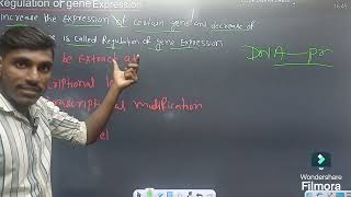 Regulation of gene expression 12th biology board exam [upl. by Meryl]