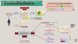 Aflatoxina B1 [upl. by Donatelli579]