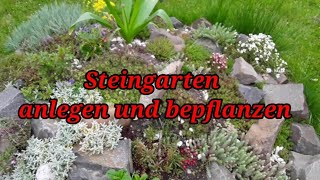 Steingarten anlegen bepflanzen und pflegen Sukkulenten sind optimal [upl. by Funk952]