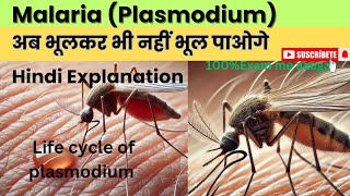 How a Parasite manipulate your RBCs Malaria plasmodium [upl. by Franckot233]