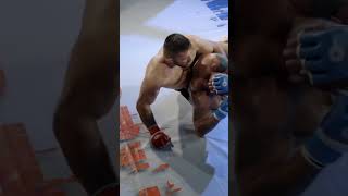 Fighter ATTACKS Referee After Late Stoppage [upl. by Herschel825]