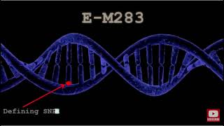 The Tribe of Ashers DNA Revelation Ancient Promise Meets Modern Science [upl. by Perretta347]