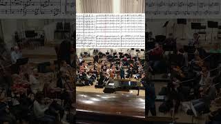 Beethoven Symphony No 7 – Movement 2 Excerpt beethoven classicalmusic orchestra [upl. by Ahsetal136]