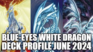 BLUEEYES WHITE DRAGON DECK PROFILE JUNE 2024 YUGIOH [upl. by Ainnat878]