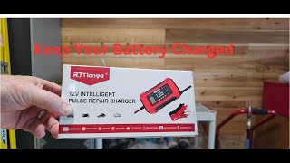 Best Charger For 12v Battery [upl. by Yelrebmik241]