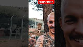 Lion Sneaks up on human shorts viralvideos youtubeshort MahboobL [upl. by Joachim339]