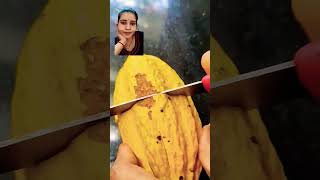 Cocoa fruit farming in China 🇨🇳 satisfying cookingwithshweta shortvideo shorts trendingshorts [upl. by Meehar]