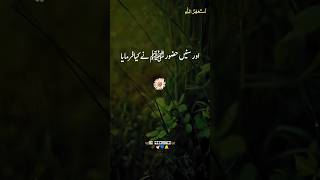 Huzoorﷺ Ne Dua Di Hai 🥀🤍Peer Ajmal Raza Qadri🥀 viralshorts peerajmalrazaqadri uhproduction [upl. by Deloris]