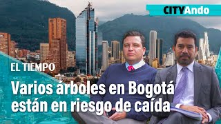 CITYAndo Varios árboles en Bogotá están en riesgo de caída  El Tiempo [upl. by Jedediah]