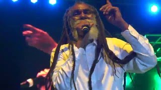 Don Carlos and Dub Vision Just A Passing Glance Reggae on the River Jul 31 2015 [upl. by Hindu]