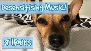 DOG DESENSITISATION Music with Sound Effects to Desensitise Dogs to Noises and Reduce Anxiety 🐶💤 [upl. by Centonze]