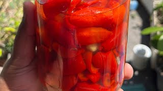 Easy Peppadew Recipe [upl. by Lotsirhc]