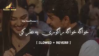 Khwaga Khwaga Ragori  Slowed  Reverb  Janan  Hadiqa kiani  Tik Tok Sound  Pashto Lofi [upl. by Evetta]