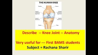 Knee Joint lAnatomylConnecting structures Movements Blood Supply Nerve supply l रचना शारीर l BAMS [upl. by Kcirddet611]