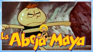 La abeja Maya  episodio 12  de strijd om de bladluis  capitulos completos en español latino [upl. by Yblek]