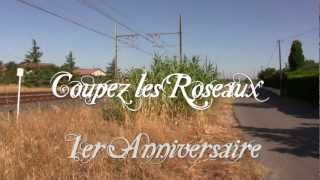 92 COUPEZ LES ROSEAUX [upl. by Zahara993]