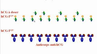 Réaction Antigénes Anticorps III [upl. by Iram]