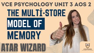 VCE Psychology Unit 3 AOS 2 The Multistore Model of Memory AtkinsonShiffrin [upl. by Ayr]