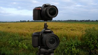 EP52 CANON 80D VS NIKON D3500 SIDE BY SIDE VIDEO TEST WITH BONUS SAMPLE PHOTOS [upl. by Orips381]