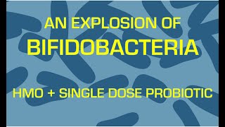 How to grow Bifidobacterium with only one dose of probiotic and HMO [upl. by Alema]