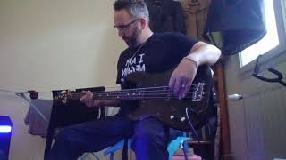 lopportuniste  Jacques Dutronc bass cover [upl. by Aronson]