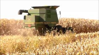 Oellrich Farms Combining Corn in Iowa 2013 [upl. by Ahserak]