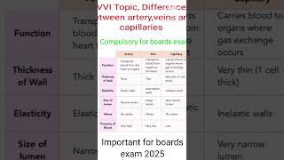 Artery vs Vein vs Capillary  Whats the Difference Explained Simplyshorts ytshorts [upl. by Packton]