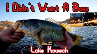 Where Are The Crappie Lake Kaweah [upl. by Ecneret]