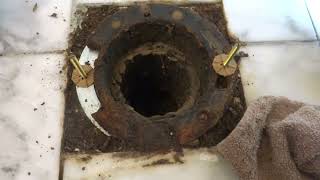 How To Fix a Broken Toilet Flange [upl. by Perdita]