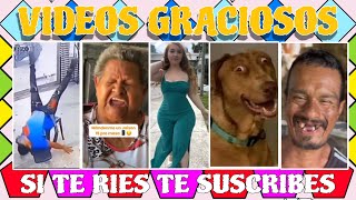 🎊🍋RECOPILACIÓN DE LOS VIDEOS MÁS GRACIOSOS DE YOUTUBE🍑🎊SI TE RIES PIERDES EL RETO😂😅 [upl. by Zusman]