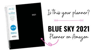 BLUE SKY  Most AFFORDABLE PLANNER ON AMAZON  Full FlipThru  Pen Test [upl. by Ysied]