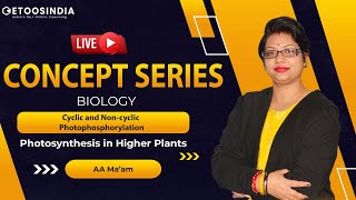 🔴 Concept Series Cyclic and Non Cyclic Photo Phosphorylation  NEET  AA Maam  Etoosindia [upl. by Akined]