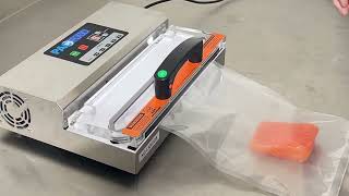 VS603 Vacuum Sealer Tips amp Instructions Vacuuming issues [upl. by Irollam]