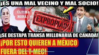 ¡ES UN MAL VECINO Y UN MAL SOCIO SE DESTAPA TRANSA MILLONARIA DE CANADA EN MÉXICO [upl. by Aramoj295]