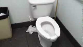 Bathroom Tour Crane toilet at wendys [upl. by Imat531]