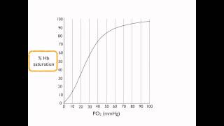 Oxyhemoglobin dissociation curve [upl. by Moersch]