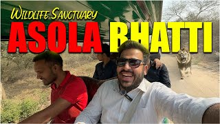 Asola Bhatti Wildlife Sanctuary 2024  Neeli Jheel Faridabad  Wildlife Sanctuary in Delhi Vlog [upl. by Efren]