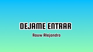 Rauw Alejandro  DEJAME ENTRAR Letra [upl. by Ojillek499]