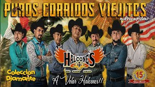 Los Halcones de San Luis Mix  Puros Corridos Viejitos Mix Para Pistear  Puros Éxitos De Oro [upl. by Ahsiekin368]