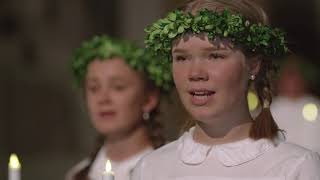 Swedish Lucia Celebration – online concert [upl. by Llehcnom]