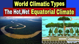 The Hot Wet Equatorial Climate [upl. by Valera]