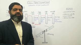 Density Gradient Centrifuge English medium profmasoodfuzail  Cell Fractionation  Homogenizer [upl. by Graig7]