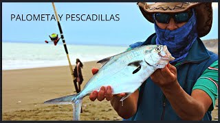 PESCA de PALOMETA Y PESCADILLAS  3er cañadon del Sombrerito  Rawson  Chubut  ARGENTINA [upl. by Idorb]