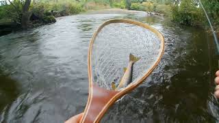 Part 3 of 3 Trout Season Closing Session 24 Nymphing Wild Brown Trout Wychwood Drift Nymph Mk2 [upl. by Haseena]