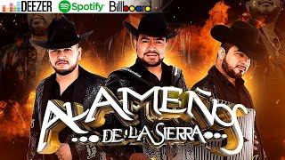 Los Alameños De La Sierra Mix 2024 Lo Más Chingon  Puros Huapangos  Puras Cumbias Para Bailar🎸 [upl. by Schweiker215]