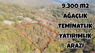 SATILDIII 9300 m2 AĞAÇLIK TEMİNATLIK YATIRIMLIK ARAZİ  410000₺ [upl. by Noxas834]