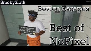 Bovice Out Of Jail  Kikis Death  Best Of GTA V RP [upl. by Onstad]